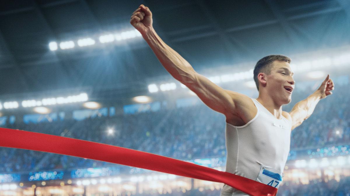 bibus-italia-supporting-your-success